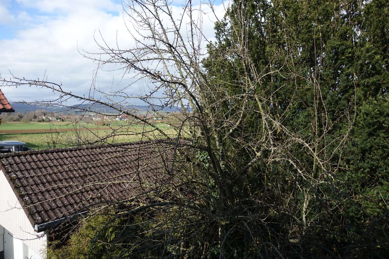 3-Familienhaus in absolut ruhiger und sonniger Ortsrandlage von March-Buchheim, Im Gängler 12, 79232 March