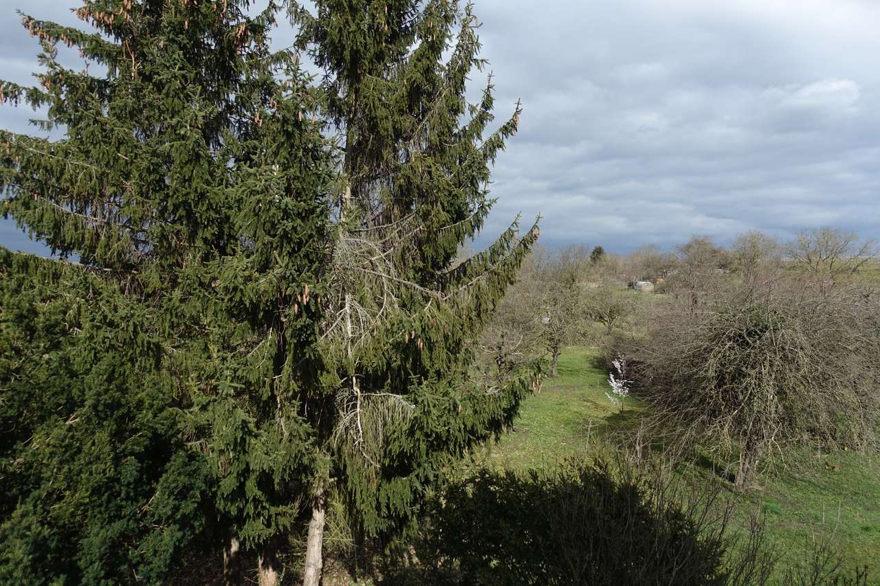 3-Familienhaus in absolut ruhiger und sonniger Ortsrandlage von March-Buchheim, Im Gängler 12, 79232 March